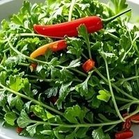 荠菜:春日野菜中的“百味之王”,跨越古今与中外的味觉传奇
