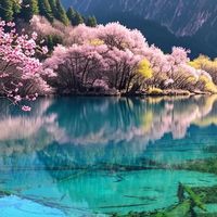 九寨沟桃花季｜限定的雪山+蓝湖+粉桃，3月淡季门票抓紧冲！