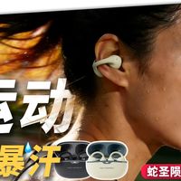 【耳夹式耳机】269 元把监听级“铍动圈”装入耳夹？蛇圣陨石 Pro 深度测评