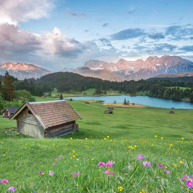 『NAS』老破小也能玩 AI？飞牛 NAS 部署 LocalAI