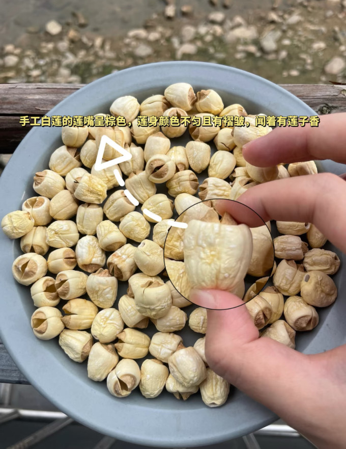 南北干货