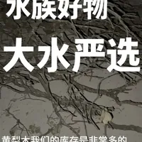 大水水族好物这一块 馆内后场白天禁止拍照，所以是晚上手电拍摄，感谢各位理解哦#水族馆拍照 #水族馆 #鱼 #原生 #造景