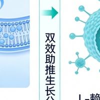 乳糖不耐受的⼈，能吃特元素氨基丁酸吗