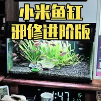 智能鱼缸改装系列小米智能鱼缸完美升级改造改装方案教程 本视频详细的讲解了小米鱼缸一代的改装过程，改装配件的选择，包括一些细节上的处理方法#小米鱼缸 #小米鱼缸改造 #小米鱼缸造景 #小米智能鱼缸 #小米智能鱼缸测评