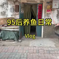 #养鱼日常 #玛丽鱼 #孔雀鱼  别小看一缸鱼，稳定水质，规律喂食，才是养好鱼的关键。养鱼日常经验分享。