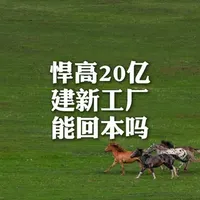 悍高五金年营收30亿元上下，却再次投入20多亿建设生产基地，五金的市场增长空间还有那么大么？悍高到底有何竞争力还能继续保持增长，把生产成本赚回来 #轻高定有基会 