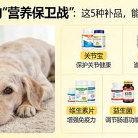 老年犬营养管理手册：核心补品选用与护理指南