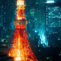 分享一些200毫米焦段的好作品