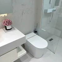 卫生间的幸福感被智能马桶承包了