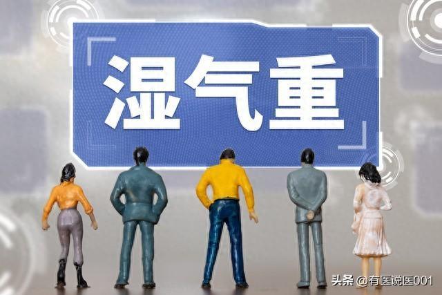 寒湿与湿热：辨证分型与精准祛湿指南