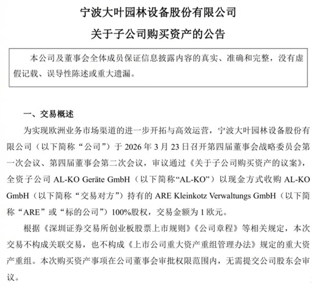 不含任何隐性债务!中企8元买下净资产1800万的德国企业