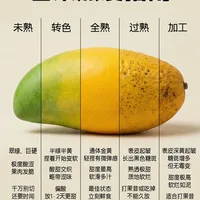 🥭一眼看透芒果甜度，再也不会踩雷了！