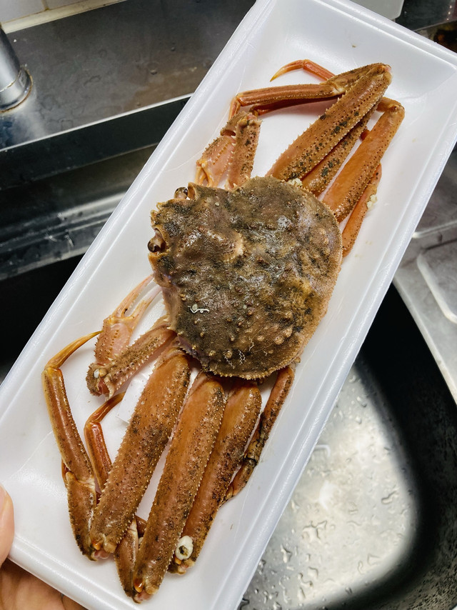 懒人厨房不会轻易采购的食材：大长腿雪蟹，拆壳不易吃起来真香！