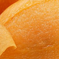 春天吃什么水果好？这3种正当季，一口尝尽春日温柔与深情