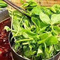 豌豆苗‌吃法有多少种？为什么在江南以表岁岁平安之意？