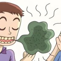 哪个益生菌好?厚璞堂复购率超预期