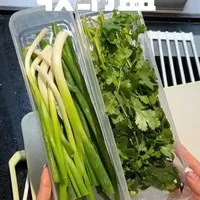 菜小葱保鲜盒 菜小葱放进去，一周都水灵！ #厨房好物 #冰箱收纳 #保鲜神器 #备菜必备 #密封保鲜盒