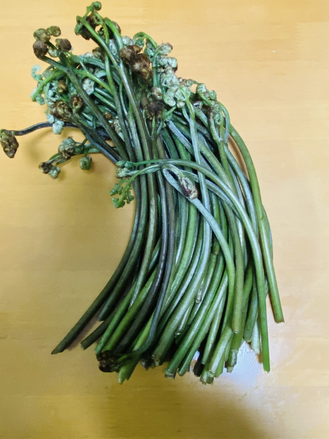 山野春意，一口蕨菜唤醒味蕾