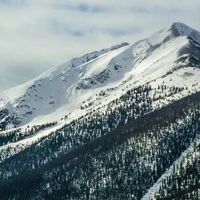 张雪峰 41 岁心梗离世：那个倡导运动的人，倒在了跑步机上