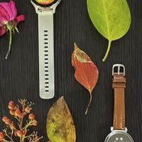 佳明 FR255 只要1000块了，还有必要买 FR265 吗？