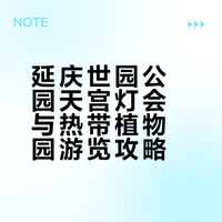 世园公园天宫灯会+热带植物园·除了远没毛病
