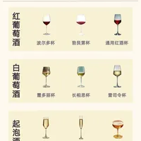 酒杯选择指南 🧭❗️新手一秒选对