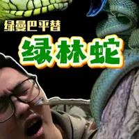 长得凶实则菜的绿林蛇 它是装大佬的软萌绿林蛇,不是致命绿曼巴,微毒、胆小、颜值高,蛇界反差萌天花板!
#自然知识科普 #创作者中心 #创作灵感 #蛇 #爬宠