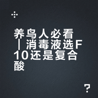 🦜养鸟人必看｜消毒液选F10还是复合酸？
