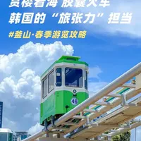 釜山丨2h直飞！赏樱🌸看海 2日深度漫步攻略，吃吃逛逛！
#韩国旅行 #韩国旅游 #韩国旅行攻略 #韩国旅游攻略 #釜山