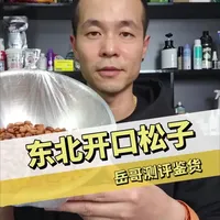 每果时光东北开口松子测评,真的好吃吗?#测评 #东北松子 #开口松子 #每果时光 #评测