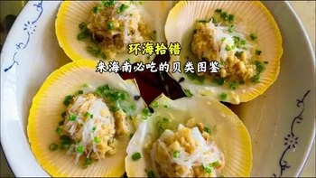 来海南必吃的贝类，这期值得收藏！ 肉质鲜甜的日月贝，还有花甲王都是不能错过的！#青年创作者成长计划#强烈推荐 #万物皆可种草搜#自然奇境科普季#海鲜