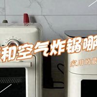 烤箱和空气炸锅哪个更适合家庭用？分别用了1年多，才知哪个实用
