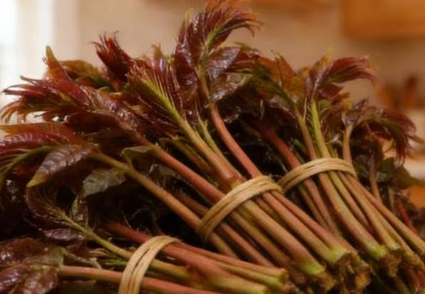 春日美食，你尝过几样？