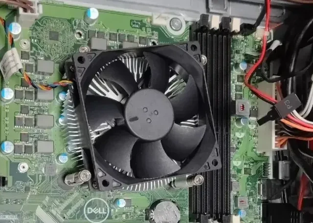 1000块捡漏Dell T40！至强E-2224G+16G+2T企业盘，NAS的快乐机