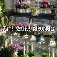免打孔！手残党爆改小阳台！洗衣、晾晒、养花、收纳我都要！