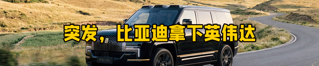 吴艳妮F1合影被裁,阿迪达斯绷不住了
