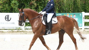 告别将就：HorseLeader以专业儿童马术服，守护骑乘安全与热情