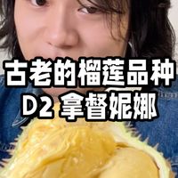 古老的榴莲品种，拿督妮娜