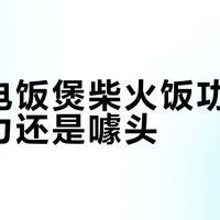 小熊电饭煲柴火饭功能是真实力还是噱头？1200+用户观点大PK