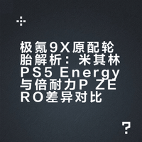 极氪9x原配米其林与倍耐力轮胎差异探讨