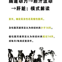 肠道动力→胆汁流动 →肝脏：模式解读