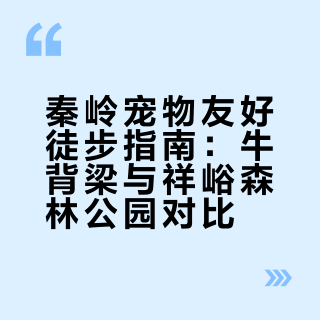 用点点ai做踏青攻略，带毛孩子出门踏青