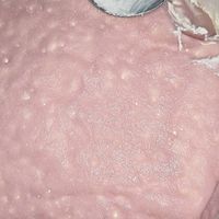 青团：一口春日，满心欢喜