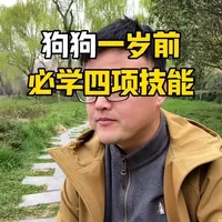 狗狗一岁前必学的4种技能。 #萌宠 #狗狗乱叫 #狗狗定点大小便 #狗狗咬人 #狗狗乱跑