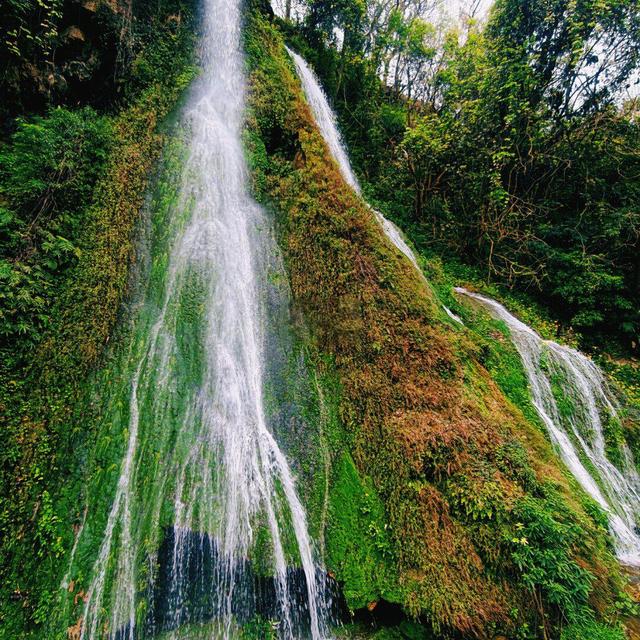 📍citywalk🚇地铁直达的森呼吸路线🌿