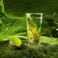 春天不能错过的西湖龙井