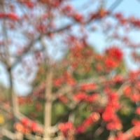 舌尖上的岭南春：广州春季美食养生指南