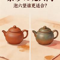 六堡茶器怎么选？实测紫砂vs坭兴陶