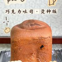 面包机版巧克力吐司·烫种版🍞