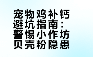 宠物鸡补钙被雷：小作坊贝壳粉!脏!